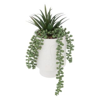 Plante Artificielle en Pot  Visage  25cm Blanc