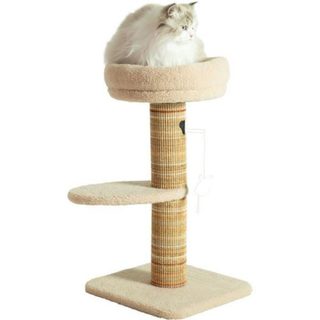 Zolux Arbre a chat griffoir - Stable - Espace de repos - Jeu souris - Sisal - 70 cm - Boréal