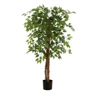 J-line Plante Artificielle en Pot Ficus 150cm