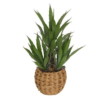 Plante Artificielle en Pot  Agave Moda  61cm Naturel