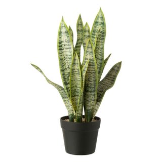 Plante Artificielle en Pot  Dracaena Trifasciata  55cm Vert