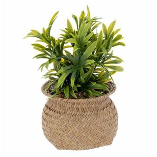 Plante Artificielle en Pot  Jiling  20cm Beige