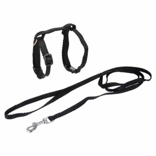 Harnais & Laisse pour Chat  Kit  120cm Noir