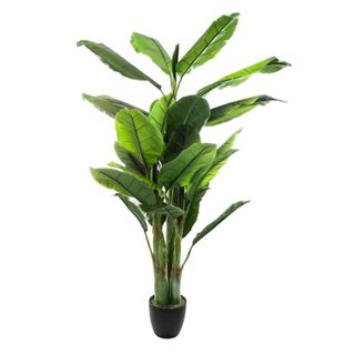 Plante Artificielle  Bananier  170cm Vert
