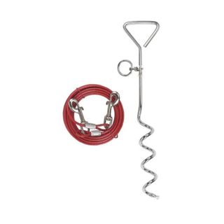Kerbl Laisse dattache avec ancrage spirale pour chien