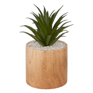 Plante Artificielle en Pot  Sao  17cm Marron