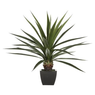 Plante Artificielle  Agave  124cm Vert