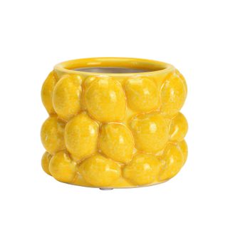 Pot de fleurs citron en céramique