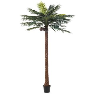 Plante Artificielle  Palmier 4 Noix de Coco  350cm Vert