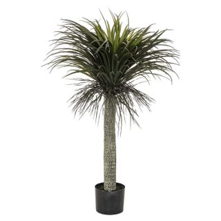 Plante Artificielle en Pot  Yucca  150cm Vert & Noir