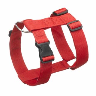 Harnais Réglable Chien  Essentiel  70-90cm Rouge