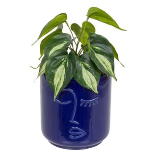 Plante Artificielle en Pot  Soleya  30cm Bleu