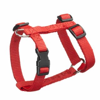 Harnais Réglable Chien  Essentiel  50-70cm Rouge