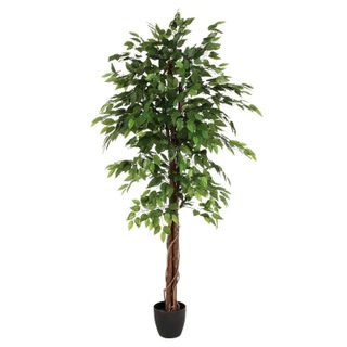 Plante Artificielle  Ficus  185cm Vert