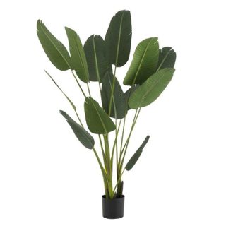 Plante Artificielle en Pot  Strelitzia  189cm Vert
