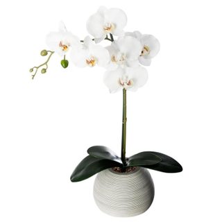 Fleur Artificielle en Pot  Orchidée  53cm Gris