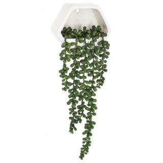 Plante Artificielle Murale  Tombante  14cm Blanc