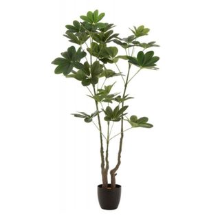 J-line Plante Artificielle en Pot Pachira 157cm