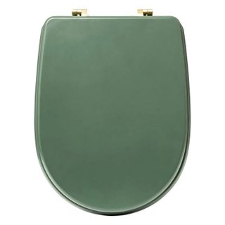 Abattant WC Design  Duo  49cm Vert