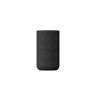 Sony SA-RS5 Enceinte Satellite