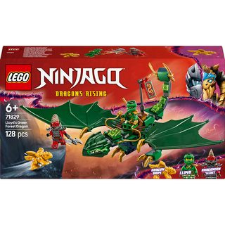 Le dragon vert de la forêt de Lloyd
