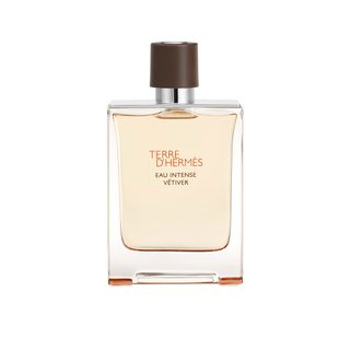 Terre D’HERMÈS Eau Intense Vétiver eau de parfum vaporisateur 100 ml