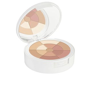 Couvrance poudre mosaïque bon visage 10 gr