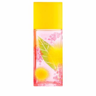 Green Tea Mimosa eau de toilette vaporisateur 100 ml