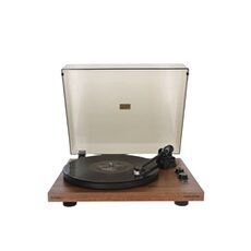 Enova Hifi Vision 4 G2 WLM