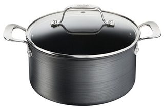 Tefal Faitout 24 cm + couvercle - Unlimited Premium