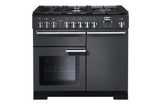 PROFESSIONAL DELUXE - PDL100DFSL/C-EU - 100CM