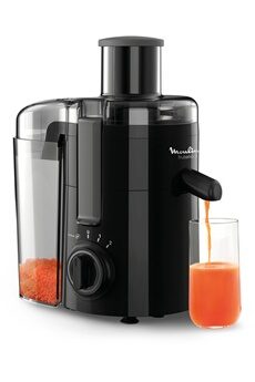 Moulinex FRUTELIA PLUS NOIR, 2 vitesses 350 W JU370810
