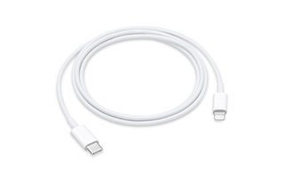 Apple Câble Lightning vers USB-C 1m