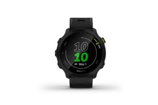 Garmin Forerunner 55