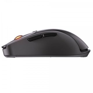 Cougar Surpassion RX Souris de jeu optique sans fil 7200 DPI Noir
