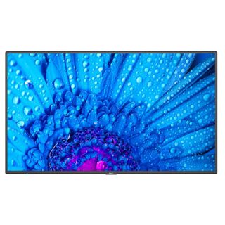 NEC MultiSync M491 Écran plat de signalisation numérique 124,5 cm (49") IPS 500 cd/m² 4K Ultra HD Noir 24/7