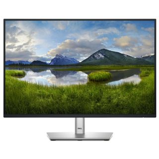 Dell P2425E 24.1"