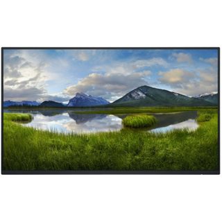 Dell P2425H_WOST 24"