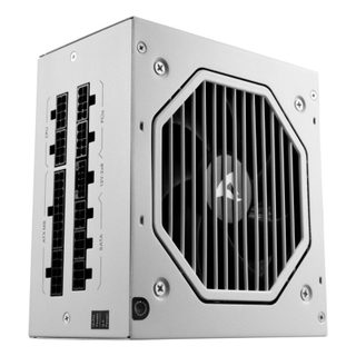 Sharkoon Fonte d'Alimentation Sharkoon 750W Certification Cybenetics Gold Modèle Rebel P20 Extras modulaires