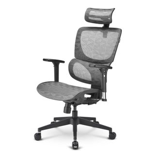 Chaise de Bureau Sharkoon OfficePal C30M, Mousse, Gris, Mousse, Nylon