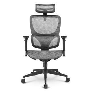 Chaise de Bureau Sharkoon OfficePal C30M, Mousse, Gris, Mousse, Nylon