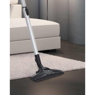Aspirateur avec Sac Hoover HE120PET 700W Filtre EPA Animaux 2,5L