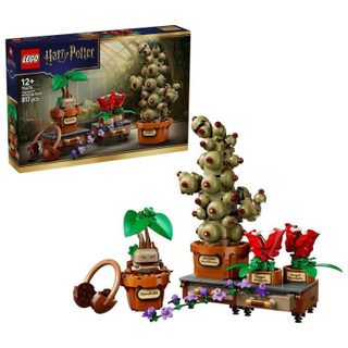 LEGO Harry Potter Hogwarts™: Plantes d'Herbologie 76474 817 pièces