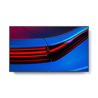 NEC P495 49"