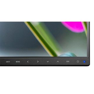 NEC EA241F-BK 24"