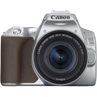 Canon 250D