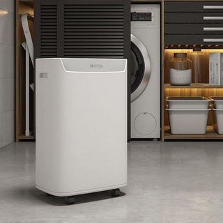 Déshumidificateur Olimpia Splendid Aquaria S1 10 P 2L