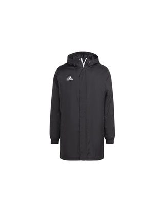 veste Football à partir du stade d'entrée 22