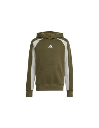 Sweat Cb Fl Hd Vert foncé