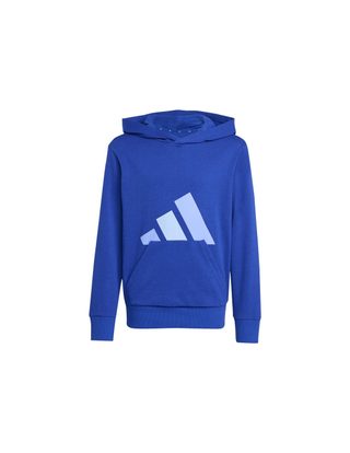 Sweat Big Logo Ft Hd